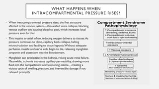 Compartmental syndrome- seminar presentation.pdf