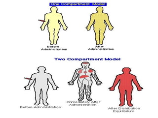 Compartment model.pptx pharmaceutical sciences and therapeutics | PPTX