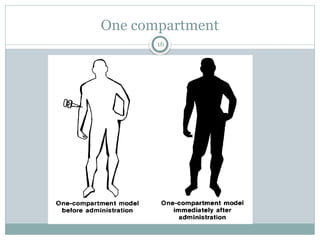 Compartment Open Models Biology 123.pptx