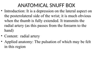 Forearm Snuff Box Compartments in the Upper limb.And bone pptx | PPTX