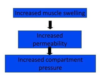 Increased muscle swelling
Increased
permeability

Increased compartment
pressure

 