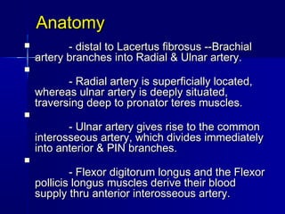 AnatomyAnatomy
                       - distal to Lacertus fibrosus --Brachial- distal to Lacertus fibrosus --Brachial
artery branches into Radial & Ulnar artery.artery branches into Radial & Ulnar artery.

                      - Radial artery is superficially located,- Radial artery is superficially located,
whereas ulnar artery is deeply situated,whereas ulnar artery is deeply situated,
traversing deep to pronator teres muscles.traversing deep to pronator teres muscles.

                      - Ulnar artery gives rise to the common- Ulnar artery gives rise to the common
interosseous artery, which divides immediatelyinterosseous artery, which divides immediately
into anterior & PIN branches.into anterior & PIN branches.

                      - Flexor digitorum longus and the Flexor- Flexor digitorum longus and the Flexor
pollicis longus muscles derive their bloodpollicis longus muscles derive their blood
supply thru anterior interosseous artery.supply thru anterior interosseous artery.
 