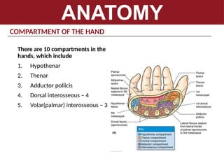 compartmentsyndrome-dvdvdvdvdvdvdvdvvdvd | PPTX