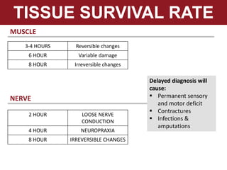 TISSUE SURVIVAL RATE
3-4 HOURS Reversible changes
6 HOUR Variable damage
8 HOUR Irreversible changes
MUSCLE
2 HOUR LOOSE NERVE
CONDUCTION
4 HOUR NEUROPRAXIA
8 HOUR IRREVERSIBLE CHANGES
NERVE
Delayed diagnosis will
cause:
 Permanent sensory
and motor deficit
 Contractures
 Infections &
amputations
 