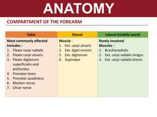 ANATOMY
COMPARTMENT OF THE FOREARM
Volar Dorsal Lateral (mobile ward)
Most commanly affected
Includes :
1. Flexor carpi radialis
2. Flexor carpi ulnaris
3. Flexor digitorum
superficialis and
profundus
4. Pronator teres
5. Pronator quadratus
6. Median nerve
7. Ulnar nerve
Muscle :
1. Ext. carpi ulnaris
2. Ext. digiti minimi
3. Ext. digitorum
4. Supinator
Rarely involved
Muscles :
1. Brachioradialis
2. Ext. carpi radialis longus
3. Ext. carpi radialis brevis
 