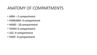 ANATOMY OF COMPARTMENTS
• ARM – 2 compartment
• FOREARM- 4 compartment
• HAND - 10 compartment
• THIGH-3 compartment
• LEG -4 compartment
• FOOT- 9 compartment
 