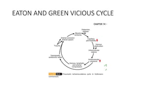 EATON AND GREEN VICIOUS CYCLE
 