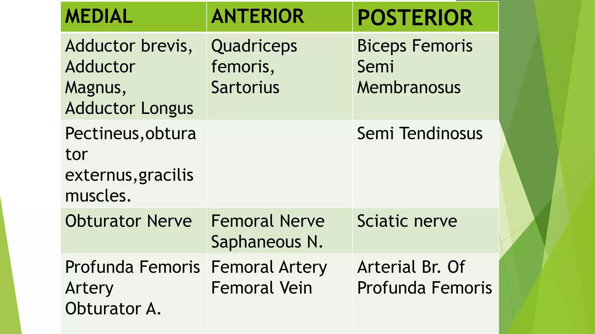 MEDIAL ANTERIOR POSTERIOR
Adductor brevis,
Adductor
Magnus,
Adductor Longus
Quadriceps
femoris,
Sartorius
Biceps Femoris
Semi
Membranosus
Pectineus,obtura
tor
externus,gracilis
muscles.
Semi Tendinosus
Obturator Nerve Femoral Nerve
Saphaneous N.
Sciatic nerve
Profunda Femoris
Artery
Obturator A.
Femoral Artery
Femoral Vein
Arterial Br. Of
Profunda Femoris
 