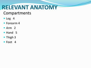 RELEVANT ANATOMY
Compartments
 Leg 4
 Forearm 4
 Arm 2
 Hand 5
 Thigh 3
 Foot 4
 