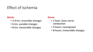 Effect of Ischemia
Muscle
• 3-4 hrs: reversible changes
• 6 hrs: variable changes
• 8 hrs: irreversible changes
Nerves
• 1 hour: loses nerve
conduction
• 4 hours: neuropraxia
• 8 hours: irreversible changes
 