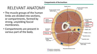 RELEVANT ANATOMY
FASCIA
• The muscle groups of the human
limbs are divided into sections,
or compartments, formed by
strong, unyielding fascial
membranes.
• Compartments are present in
various part of the body.
 