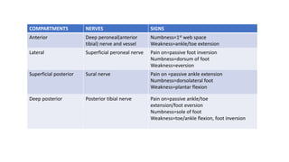 COMPARTMENTS NERVES SIGNS
Anterior Deep peroneal(anterior
tibial) nerve and vessel
Numbness=1st web space
Weakness=ankle/toe extension
Lateral Superficial peroneal nerve Pain on=passive foot inversion
Numbness=dorsum of foot
Weakness=eversion
Superficial posterior Sural nerve Pain on =passive ankle extension
Numbness=dorsolateral foot
Weakness=plantar flexion
Deep posterior Posterior tibial nerve Pain on=passive ankle/toe
extension/foot eversion
Numbness=sole of foot
Weakness=toe/ankle flexion, foot inversion
 