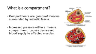 What is a compartment?
• Compartments are groups of muscles
surrounded by inelastic fascia.
• Increased pressure within a muscle
compartment causes decreased
blood supply to affected muscles.
 