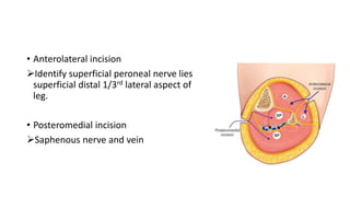 • Anterolateral incision
Identify superficial peroneal nerve lies
superficial distal 1/3rd lateral aspect of
leg.
• Posteromedial incision
Saphenous nerve and vein
 