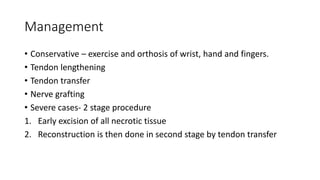 Management
• Conservative – exercise and orthosis of wrist, hand and fingers.
• Tendon lengthening
• Tendon transfer
• Nerve grafting
• Severe cases- 2 stage procedure
1. Early excision of all necrotic tissue
2. Reconstruction is then done in second stage by tendon transfer
 