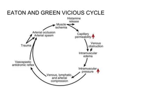 EATON AND GREEN VICIOUS CYCLE
 