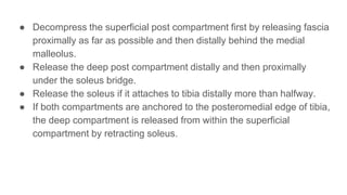 ● Decompress the superficial post compartment first by releasing fascia
proximally as far as possible and then distally behind the medial
malleolus.
● Release the deep post compartment distally and then proximally
under the soleus bridge.
● Release the soleus if it attaches to tibia distally more than halfway.
● If both compartments are anchored to the posteromedial edge of tibia,
the deep compartment is released from within the superficial
compartment by retracting soleus.
 