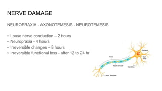 NERVE DAMAGE
NEUROPRAXIA - AXONOTEMESIS - NEUROTEMESIS
▪ Loose nerve conduction – 2 hours
▪ Neuropraxia - 4 hours
▪ Irreversible changes – 8 hours
▪ Irreversible functional loss - after 12 to 24 hr
 