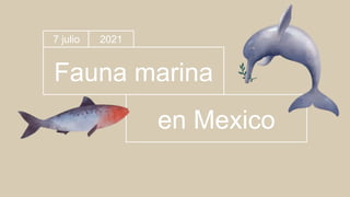 Fauna marina
en Mexico
2021
7 julio
 