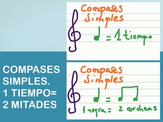 Compas 6 por 8 | PDF