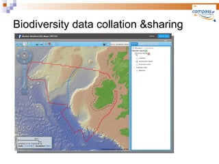 Compass Informatics - Overview | PPT
