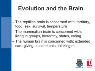 Evolution and the Brain
– The reptilian brain is concerned with: territory,
food, sex, survival, temperature
– The mammalian brain is concerned with:
living in groups, hierarchy, status, caring
– The human brain is concerned with: extended
care-giving, attachments, thinking m
 