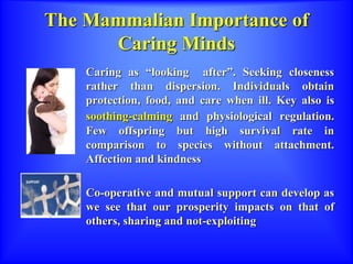 The Mammalian Importance of
Caring Minds
Caring as “looking after”. Seeking closeness
rather than dispersion. Individuals obtain
protection, food, and care when ill. Key also is
soothing-calming and physiological regulation.
Few offspring but high survival rate in
comparison to species without attachment.
Affection and kindness
Co-operative and mutual support can develop as
we see that our prosperity impacts on that of
others, sharing and not-exploiting
 