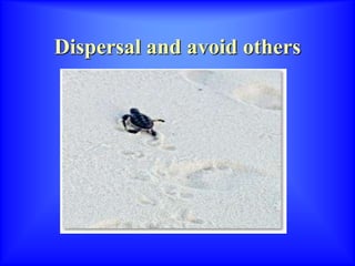 Dispersal and avoid others
 