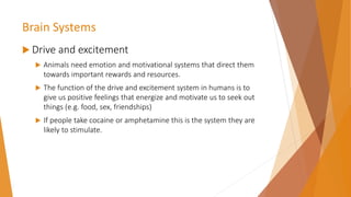 Brain Systems
 Drive and excitement
 Animals need emotion and motivational systems that direct them
towards important rewards and resources.
 The function of the drive and excitement system in humans is to
give us positive feelings that energize and motivate us to seek out
things (e.g. food, sex, friendships)
 If people take cocaine or amphetamine this is the system they are
likely to stimulate.
 