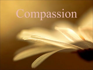 Compassion 