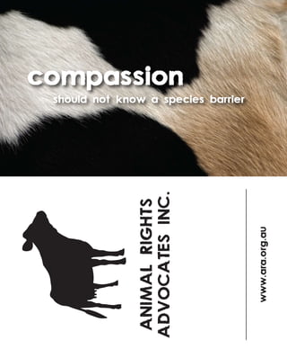 compassion
 should not know a species barrier




               ADVOCATES INC.
                ANIMAL RIGHTS




                                     www.ara.org.au
 