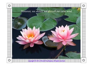 However, we should not disturb our calm mind.
Copyright © 2013, HitoshiCopyright © 2013, HitoshiCopyright © 2013, HitoshiCopyright © 2013, Hitoshi TsuchiyamaTsuchiyamaTsuchiyamaTsuchiyama. All rights reserved.. All rights reserved.. All rights reserved.. All rights reserved.
 