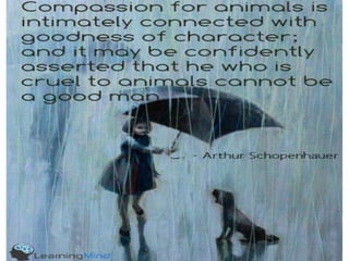 Compassion towards animals