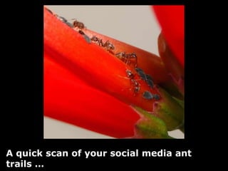 The PrinciplesA Bridge Listening and engagingWorking with InfluencersThe Social Life of Content Platform for Self-OrganizingStaff time and expertiseAssessing Organizational CultureThe right metricsSmall pilots, fail fast, reiteratea