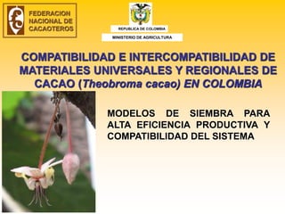 COMPATIBILIDAD E INTERCOMPATIBILIDAD DE
MATERIALES UNIVERSALES Y REGIONALES DE
CACAO (Theobroma cacao) EN COLOMBIA
MODELOS DE SIEMBRA PARA
ALTA EFICIENCIA PRODUCTIVA Y
COMPATIBILIDAD DEL SISTEMA
FEDERACION
NACIONAL DE
CACAOTEROS REPUBLICA DE COLOMBIA
MINISTERIO DE AGRICULTURA
 