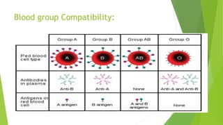 Blood group Compatibility:
 