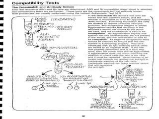 Compatibility testing | PPTX