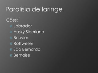 Paralisia de laringe
Cães:
  Labrador
  Husky Siberiano
  Bouvier
  Rottweiler
  São Bernardo
  Bernaise
 