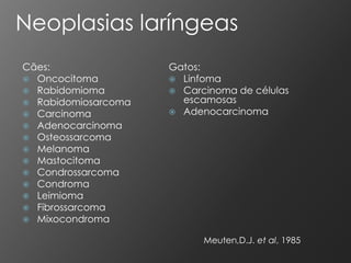 Neoplasias laríngeas
Cães:                Gatos:
 Oncocitoma          Linfoma
 Rabidomioma         Carcinoma de células
 Rabidomiosarcoma     escamosas
 Carcinoma           Adenocarcinoma
 Adenocarcinoma
 Osteossarcoma
 Melanoma
 Mastocitoma
 Condrossarcoma
 Condroma
 Leimioma
 Fibrossarcoma
 Mixocondroma

                           Meuten,D.J. et al, 1985
 