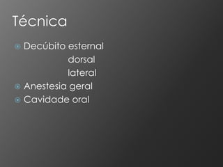 Técnica
 Decúbito esternal
           dorsal
           lateral
 Anestesia geral
 Cavidade oral
 