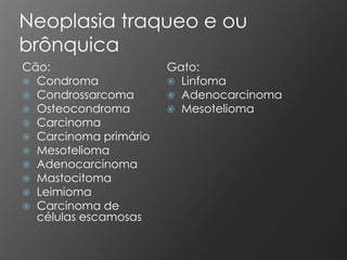 Neoplasia traqueo e ou
brônquica
Cão:                   Gato:
 Condroma              Linfoma
 Condrossarcoma        Adenocarcinoma
 Osteocondroma         Mesotelioma
 Carcinoma
 Carcinoma primário
 Mesotelioma
 Adenocarcinoma
 Mastocitoma
 Leimioma
 Carcinoma de
  células escamosas
 