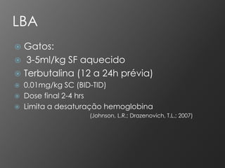 LBA
 Gatos:
 3-5ml/kg SF aquecido
 Terbutalina (12 a 24h prévia)
   0,01mg/kg SC (BID-TID)
   Dose final 2-4 hrs
   Limita a desaturação hemoglobina
                    (Johnson, L.R.; Drazenovich, T.L.; 2007)
 