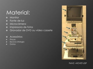 Material:
   Monitor
   Fonte de luz
   Microcâmera
   Impressora de fotos
   Gravador de DVD ou vídeo cassete

   Acessórios:
   Pinças
   Escova citologia
   Outros




                                       FMVZ –HOVET-USP
 