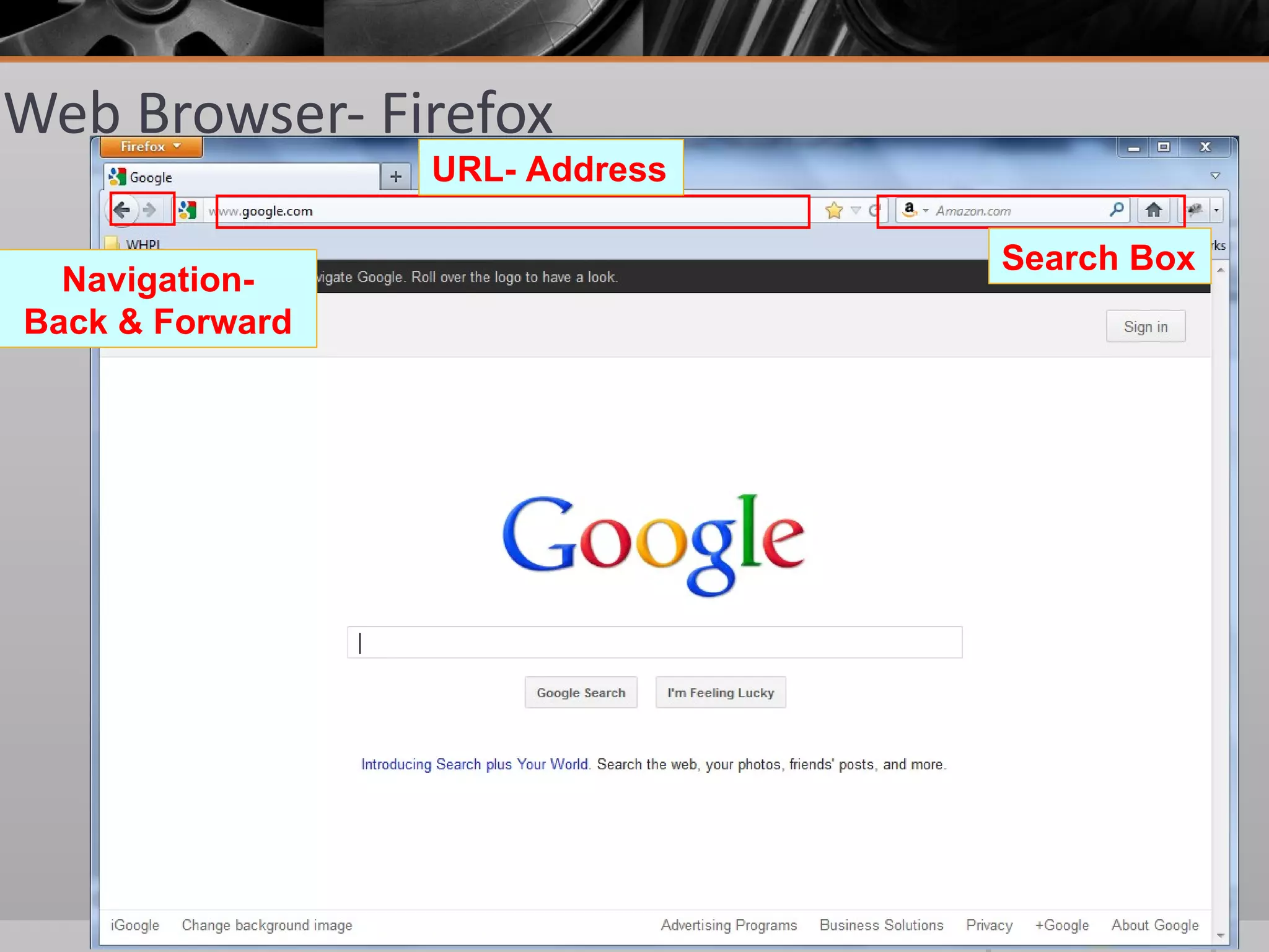 Web Browser- Firefox
                 URL- Address

                                Search Box
  Navigation-
Back & Forward
 
