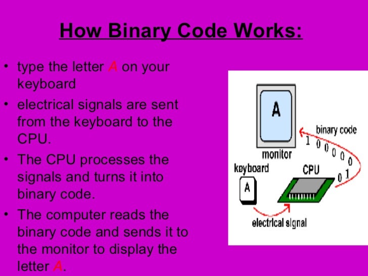 Comp conn 3 bits and bytes