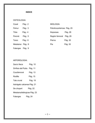 ~ 1 ~
INDICE
OSTEOLOGIA:
Coxal Pág.: 2
Fémur Pág.: 3
Tibia Pág.: 4
Peroné Pág.: 5
Tarso Pág.: 6
Metatarso Pág.: 8
Falanges Pág.: 9
ARTOROLOGIA:
Sacro Iliaca Pág. 10
Sínfisis del Pubis Pág. 11
Coxofemoral Pág. 13
Rodilla Pág. 15
Talo crural Pág. 19
Astrágalo calcanea Pág. 21
De chopart Pág. 22
Metatarsofalángicas Pág. 23
Falanges Pág. 24
MIOLOGIA:
Pelvitrocantericas Pág. 25
Iliopsosas Pág. 28
Región femoral Pág. 28
Pierna Pág. 30
Pie Pág. 35
 