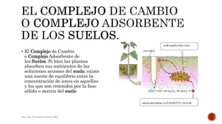  El Complejo de Cambio
o Complejo Adsorbente de
los Suelos. Si bien las plantas
absorben sus nutrientes de las
soluciones acuosas del suelo, existe
una suerte de equilibrio entre la
concentración de iones en aquellas
y los que son retenidos por la fase
sólida o matriz del suelo
Ing. Agr. Francisco Suárez Msc.
 