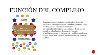 Se denomina complejo de cambio al conjunto de
partículas con capacidad de absorber iones con carga
positiva, de las soluciones del suelo.
De un modo más riguroso, podríamos decir que el
complejo adsorbente o de cambio consiste
principalmente en el conjunto de coloides dotados de
cargas negativas, capaces de retener los cationes de
cambio.
Ing. Agr. Francisco Suárez Msc.
 
