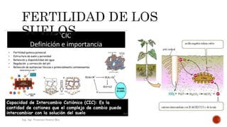 Ing. Agr. Francisco Suárez Msc.
 