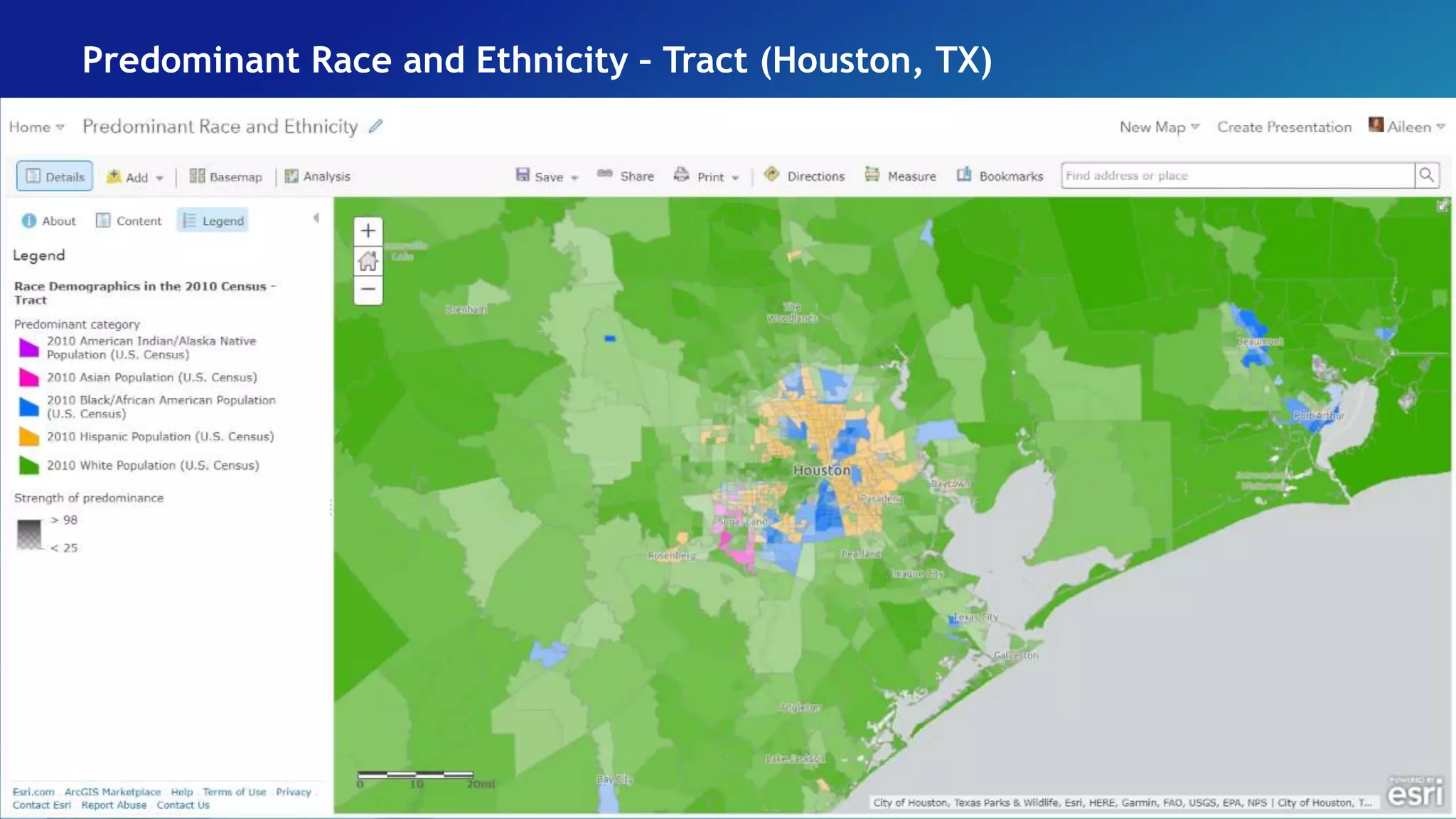 Predominant Race and Ethnicity – Tract (Houston, TX)
 